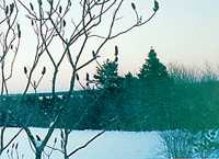 Cover art for issue 124 of The Antigonish Review